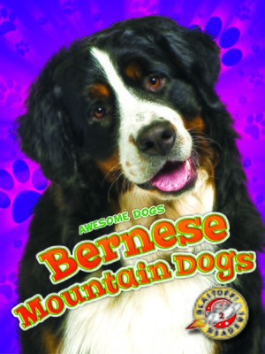 cover image of Bernese Mountain Dogs